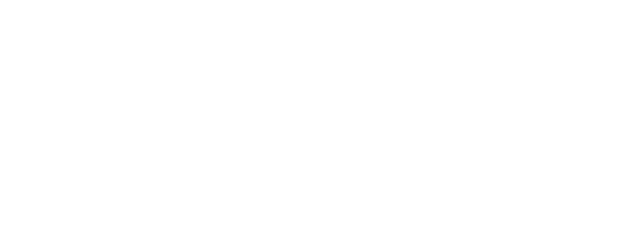 HANSHIN Tigers